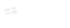 Download Your Tree Report